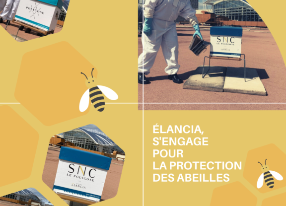 La protection des abeilles,<br>l'un de nos engagements