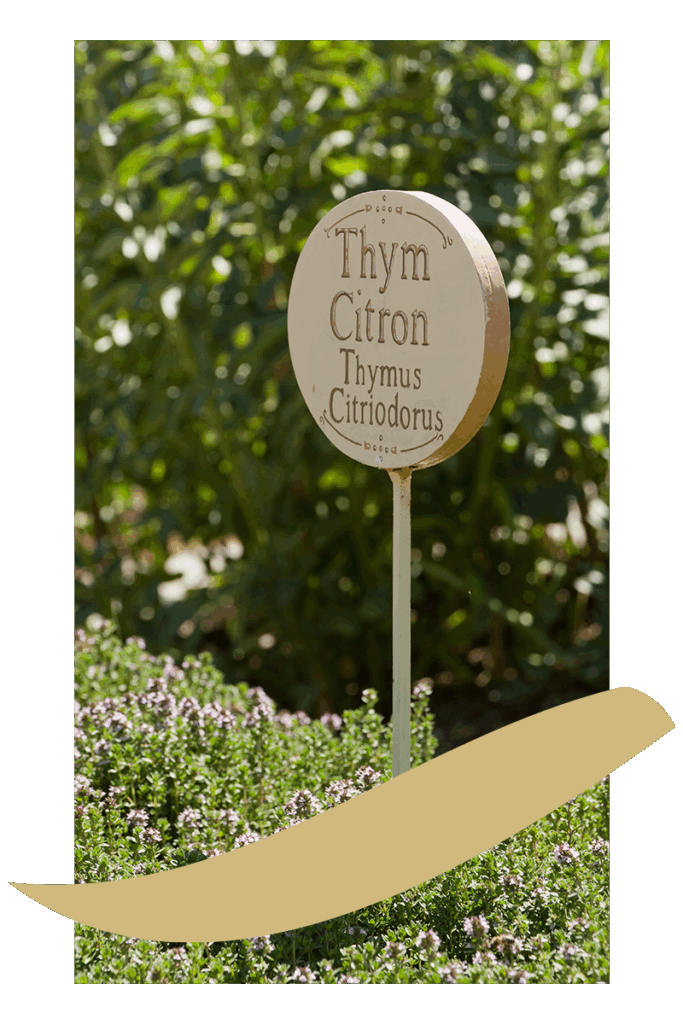 pilier-environnement-rse